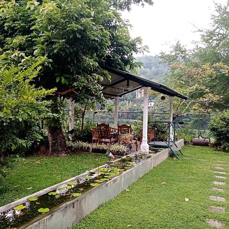 Mahaweli Shades Otel Kandy Dış mekan fotoğraf