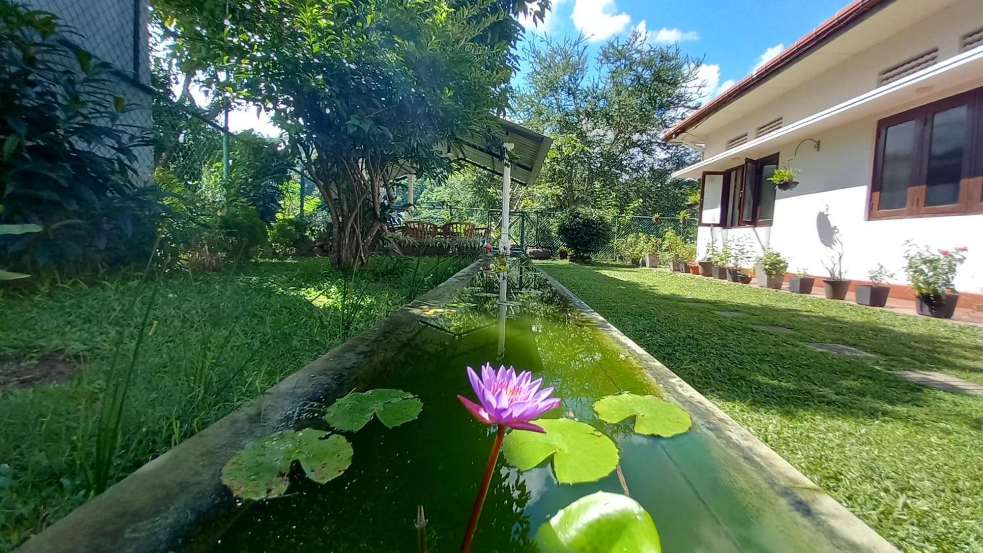 Mahaweli Shades Otel Kandy Dış mekan fotoğraf