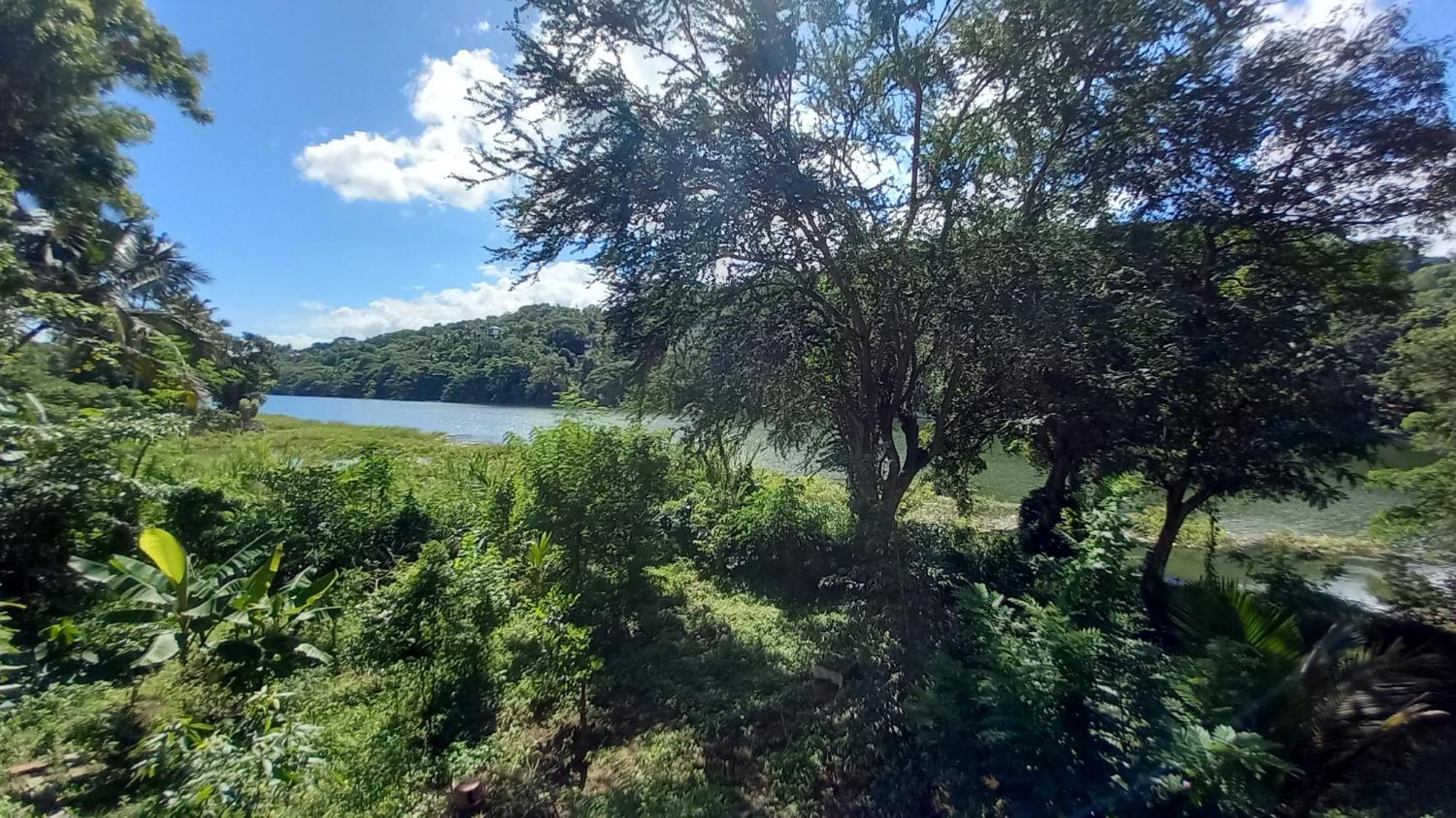 Mahaweli Shades Otel Kandy Dış mekan fotoğraf