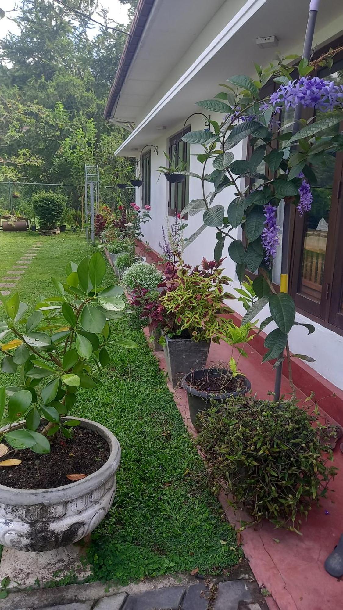 Mahaweli Shades Otel Kandy Dış mekan fotoğraf