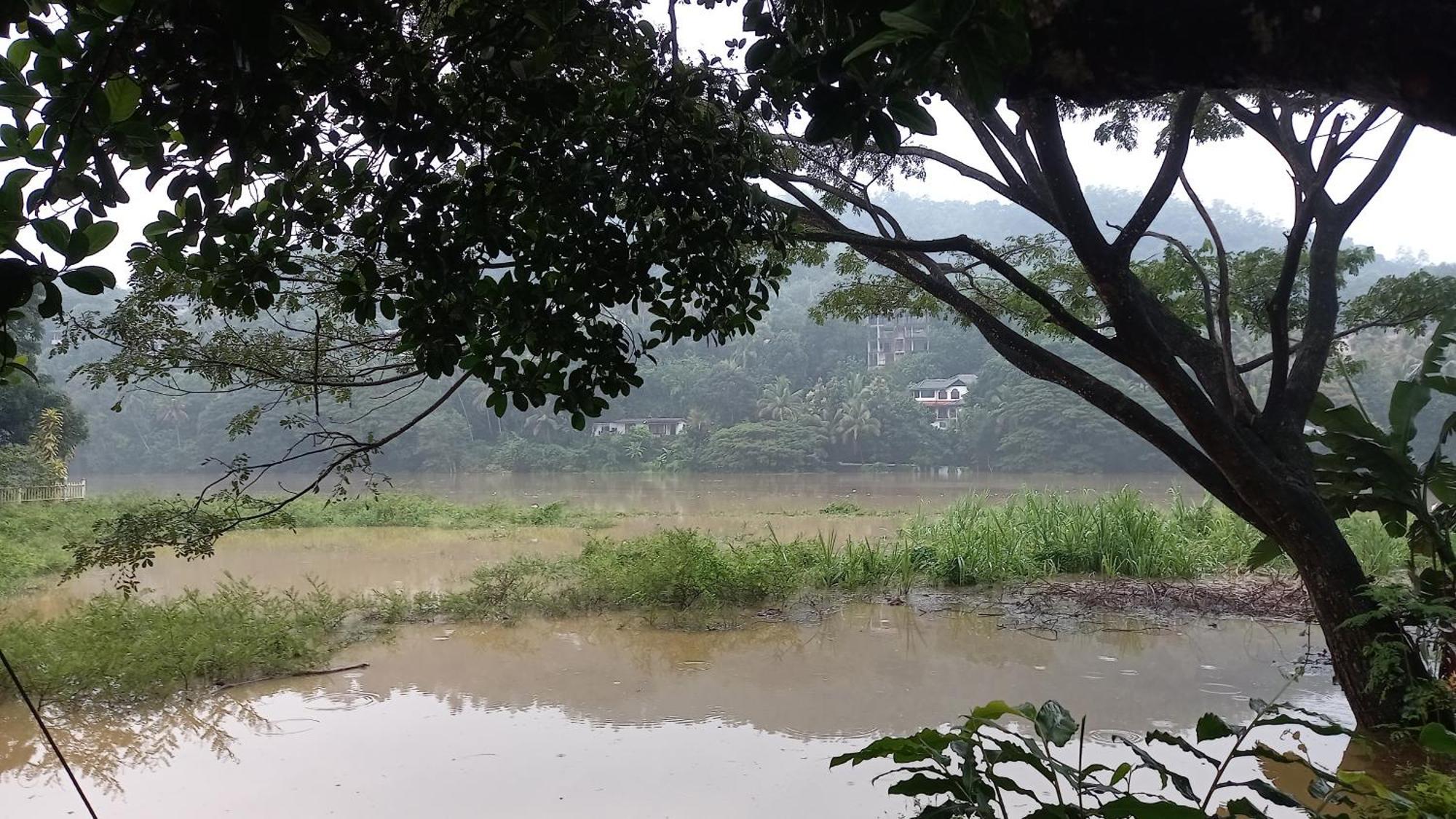 Mahaweli Shades Otel Kandy Dış mekan fotoğraf