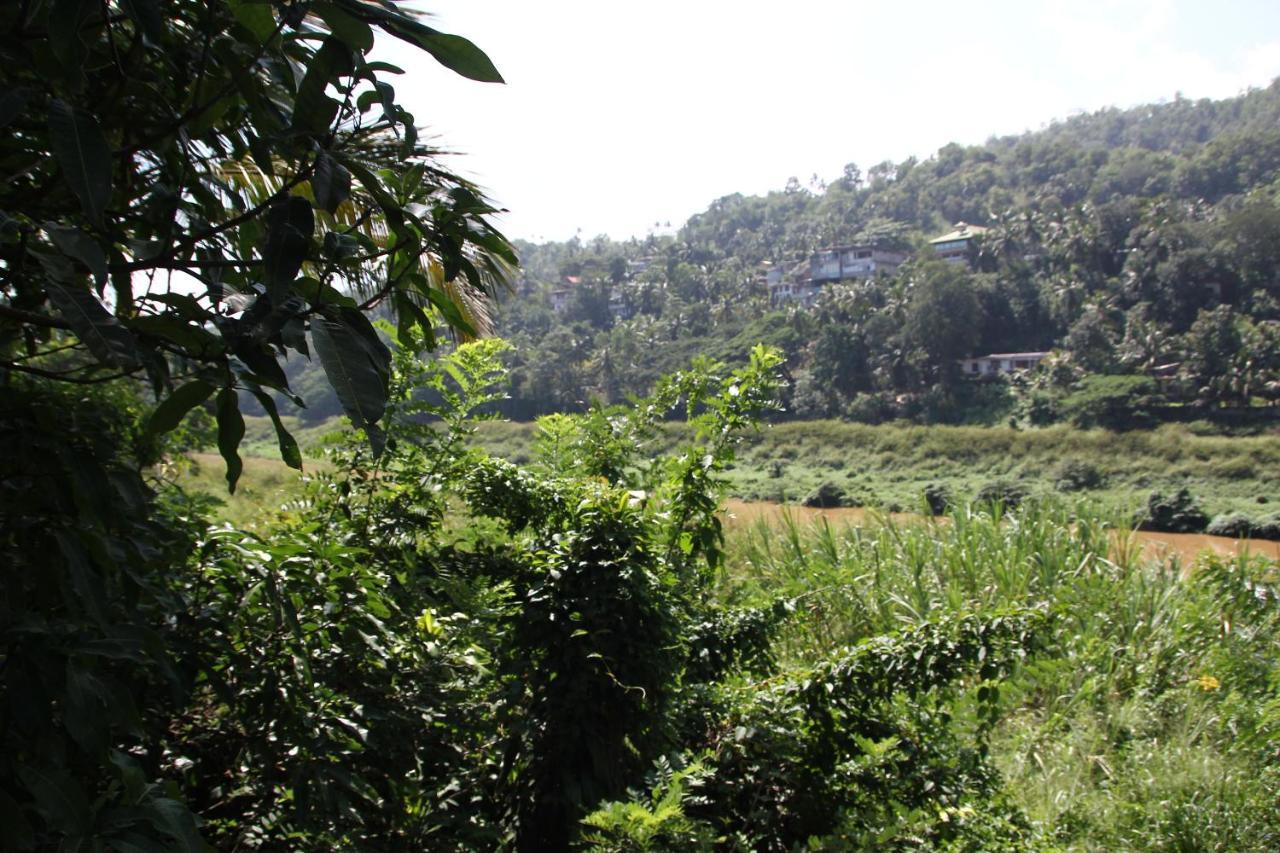 Mahaweli Shades Otel Kandy Dış mekan fotoğraf