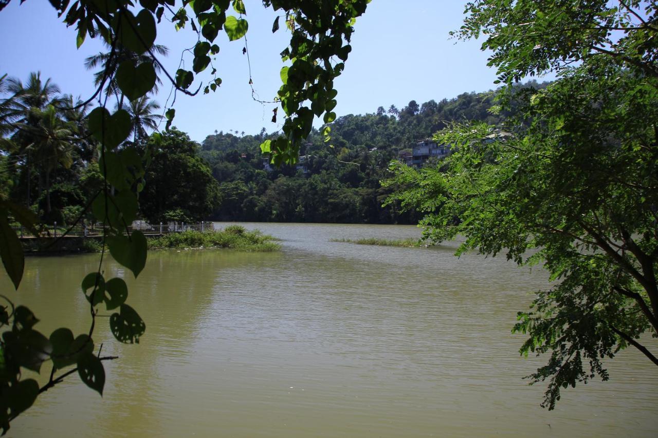 Mahaweli Shades Otel Kandy Dış mekan fotoğraf