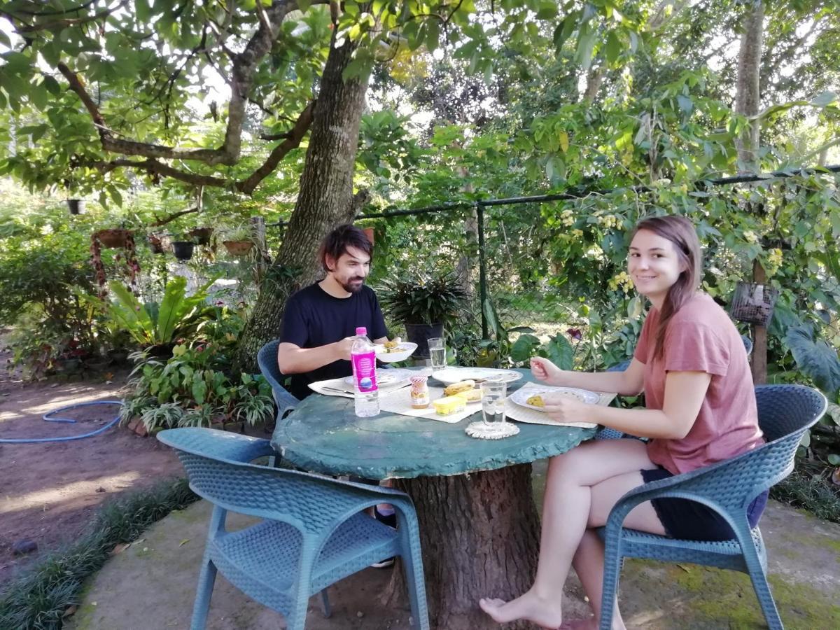 Mahaweli Shades Otel Kandy Dış mekan fotoğraf